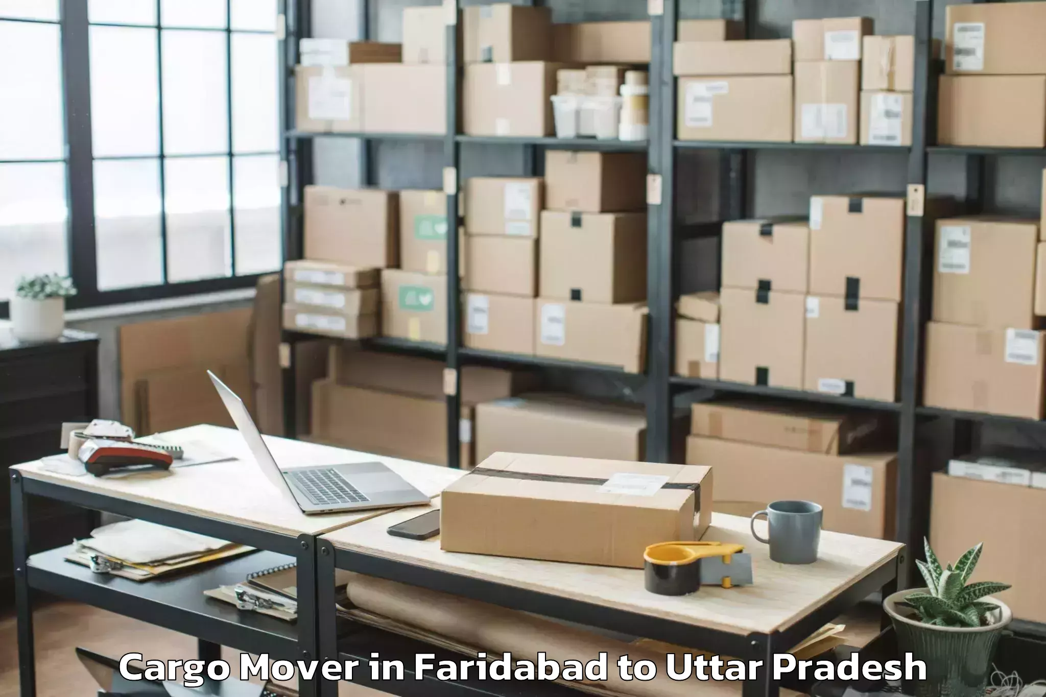 Top Faridabad to Gardens Galleria Mall Noida Cargo Mover Available